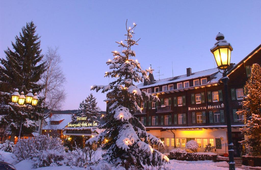 Treschers Schwarzwald Hotel Titisee-Neustadt Eksteriør billede